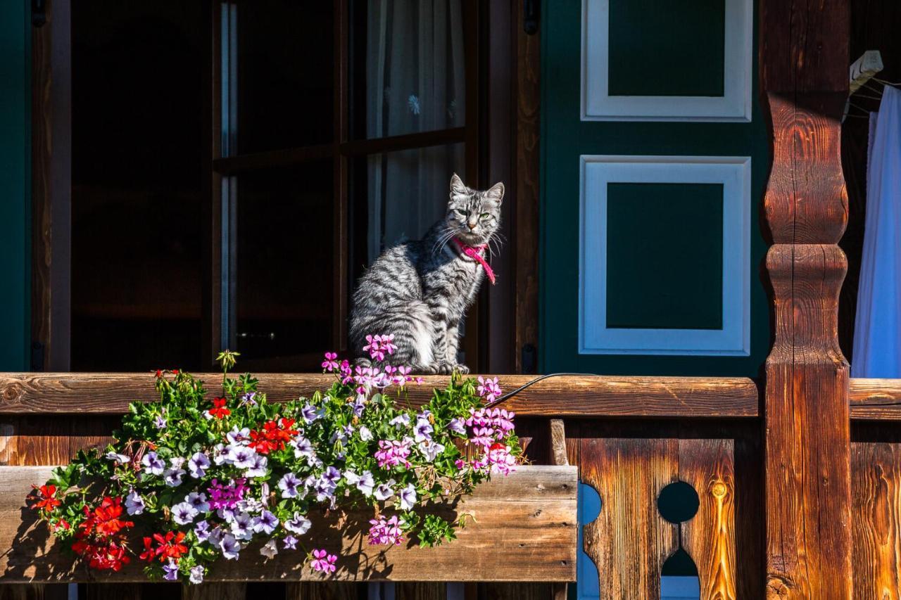Nonna Pina Appartamento Putti Падола Екстер'єр фото